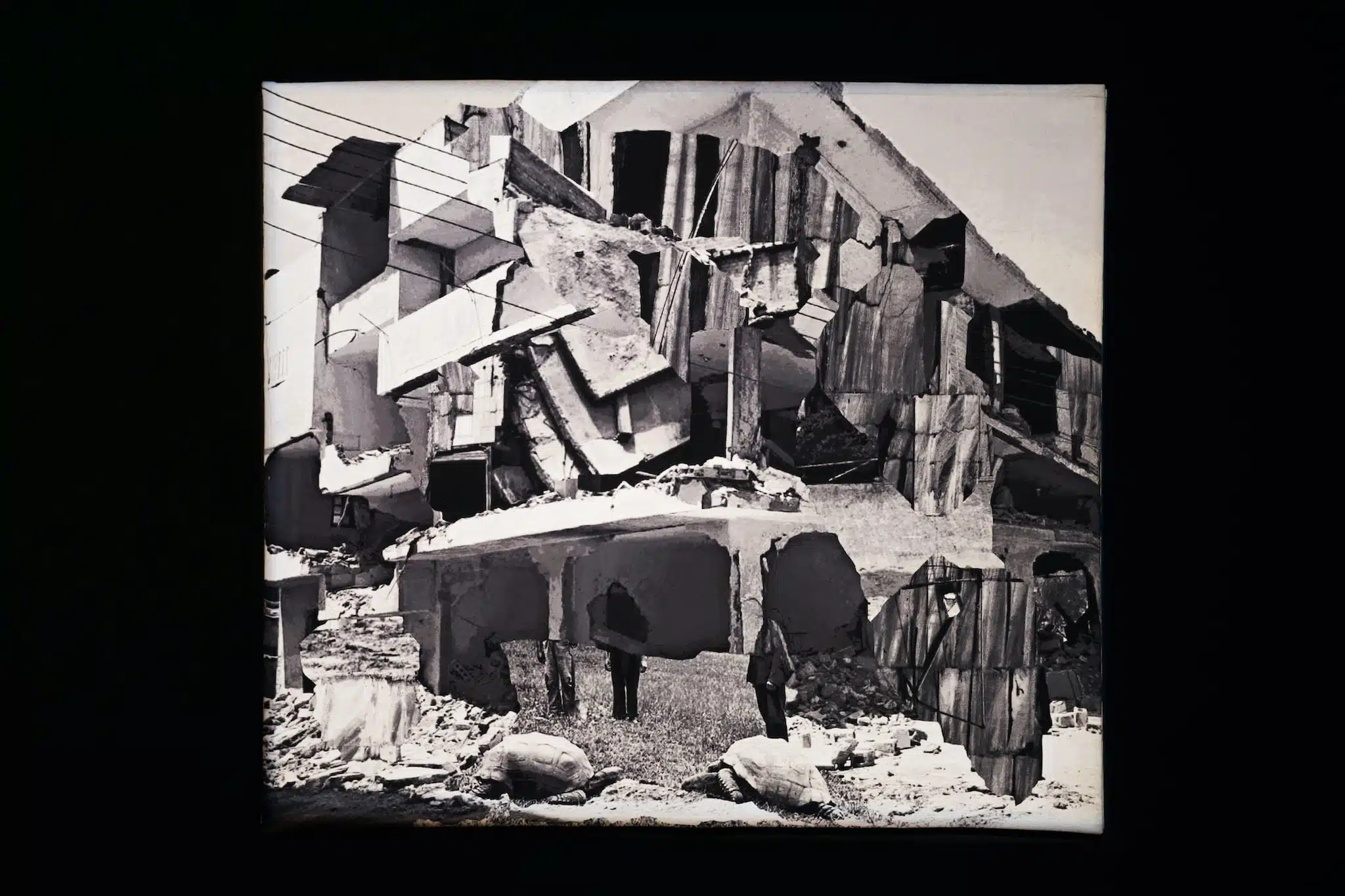 ailbhe ní bhriain, intrusion i photo art