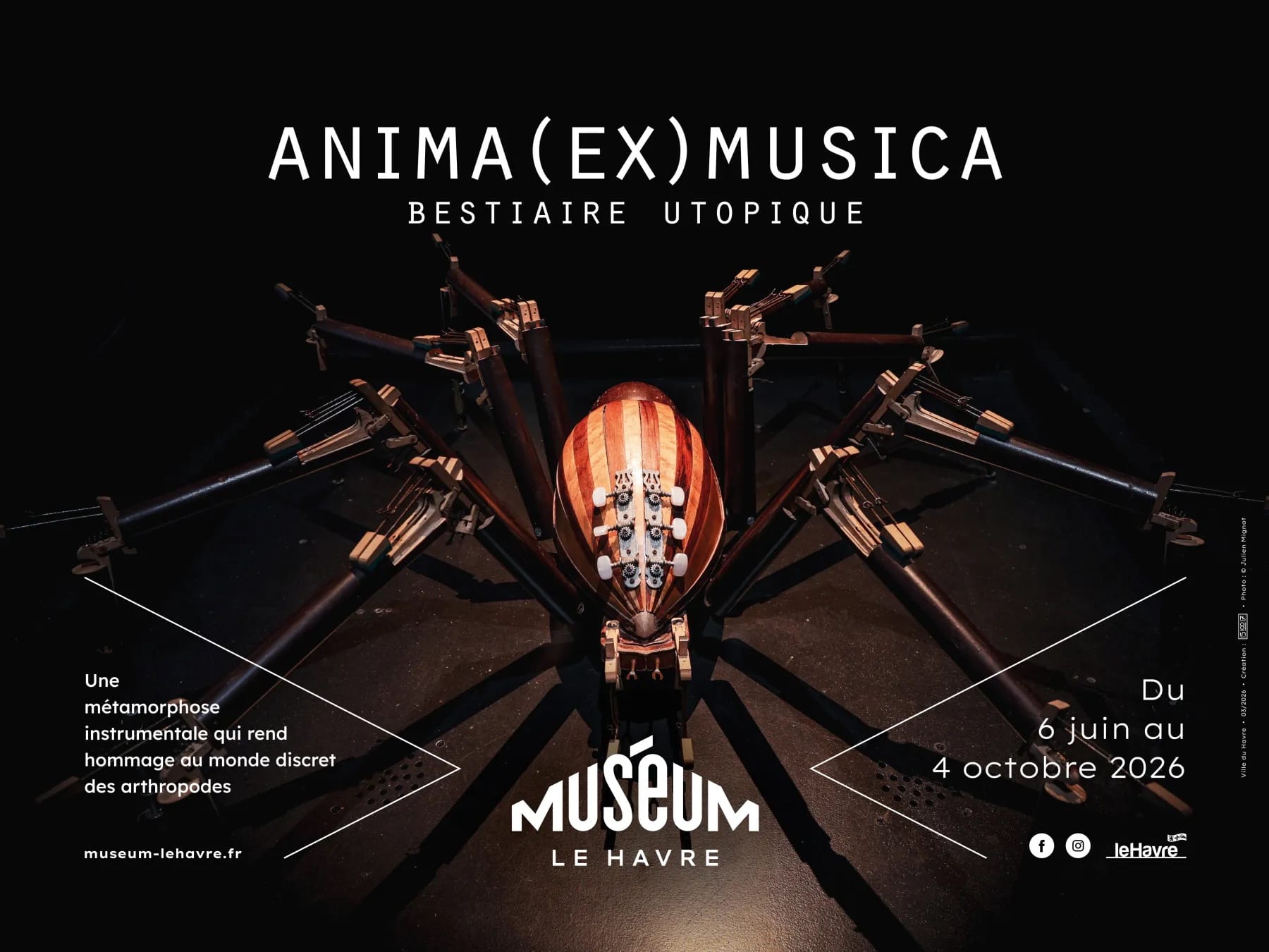 Exposition "Anima (Ex) Musica : Bestiaire utopique" au Museum du Havre art musique sciences